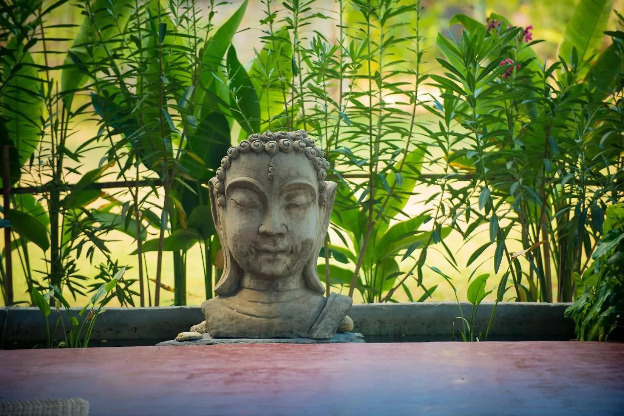 Oasis Yoga Bungalows Koh Lanta Guest house